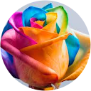 Courtney Freeman profile picture