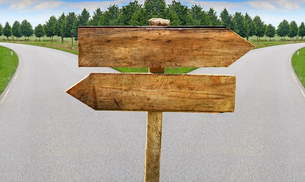 Lane splitting road with blank crossroad wooden blank signs