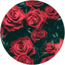 Kevontaize Rease profile picture