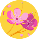 Kalah Saffo profile picture