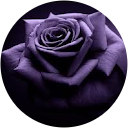 haylee raye profile picture