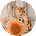 sketch.e profile picture