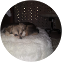 Amara Todd profile picture