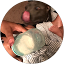 anntrina polk profile picture