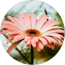 Cynthia Marie profile picture