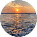 Ava Davis profile picture